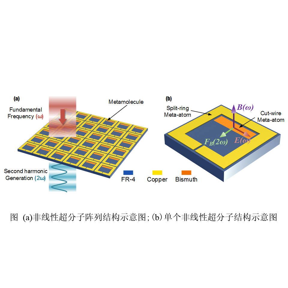 图1（a）非线性超分子阵列结构示意图（b）单个非线性超分子结构示意图.jpg